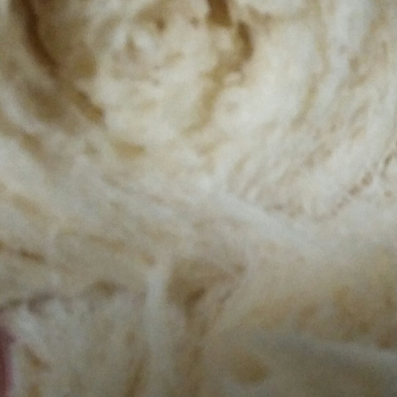 夺命软吐司(๑´ڡ`๑)超软拉丝极速方便的一次发酵吐司