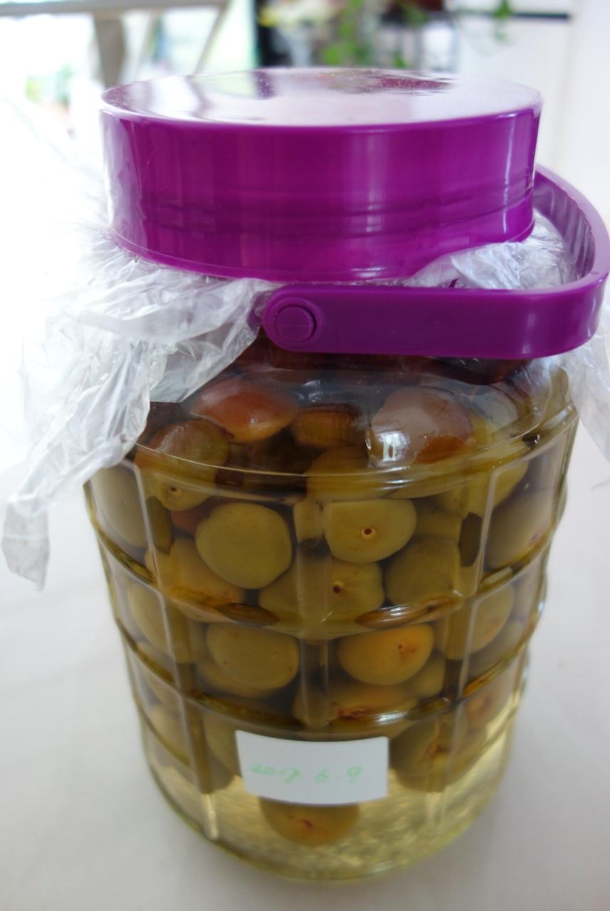 【青梅酒】梅子的沉醉时光（已填坑）