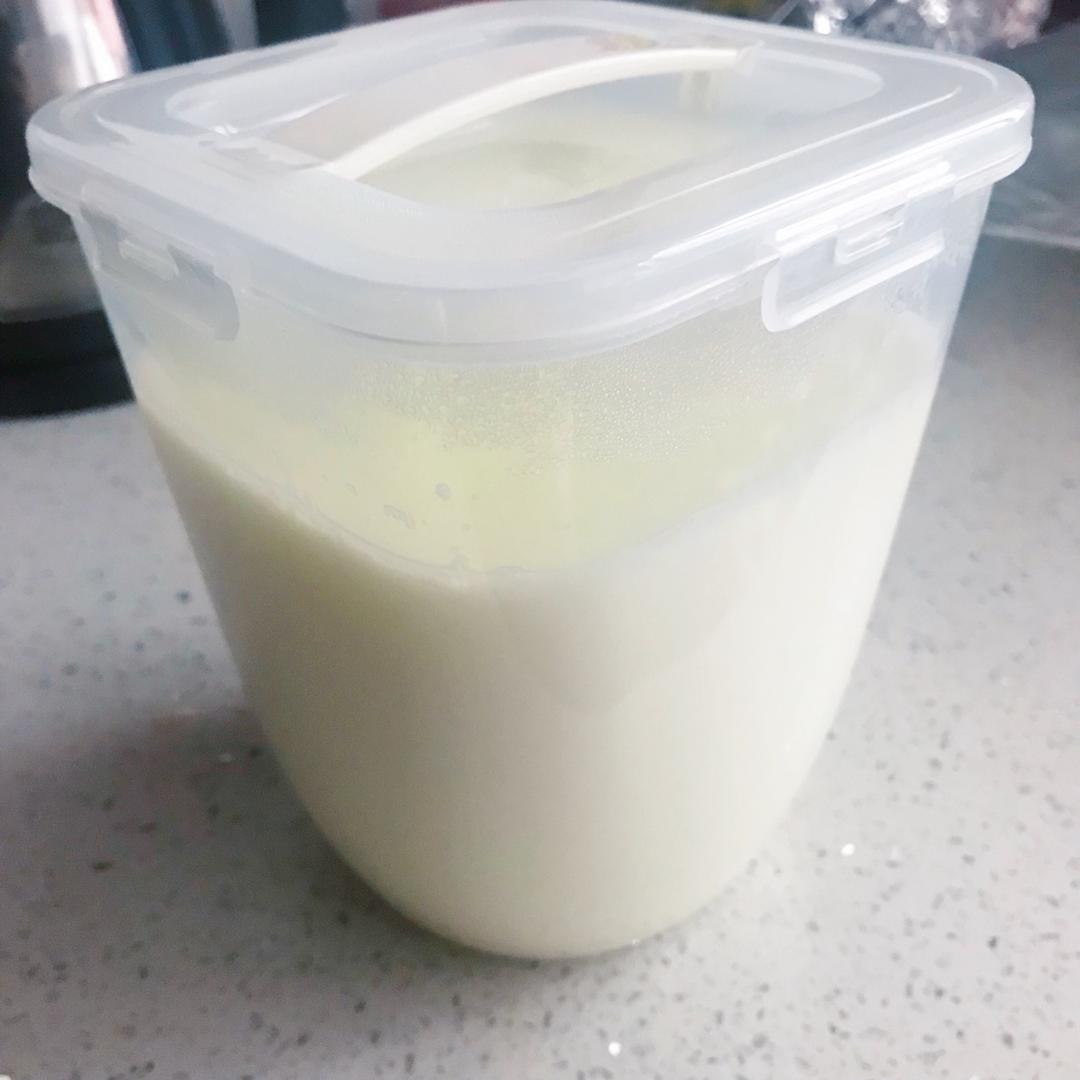 面包机酸奶（奶粉版）