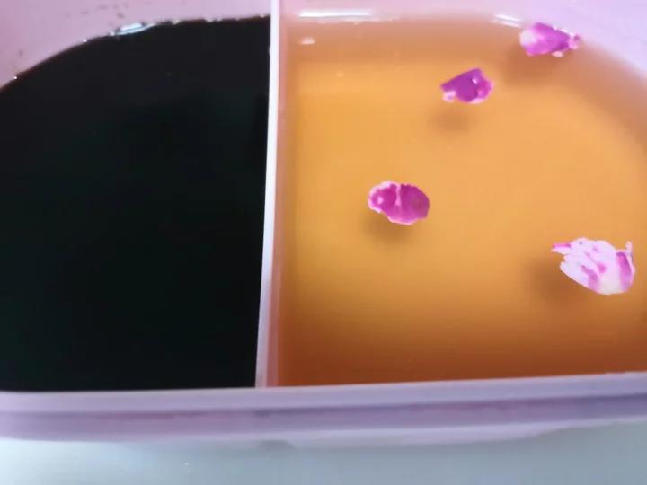 芒果偶遇冰粉粉