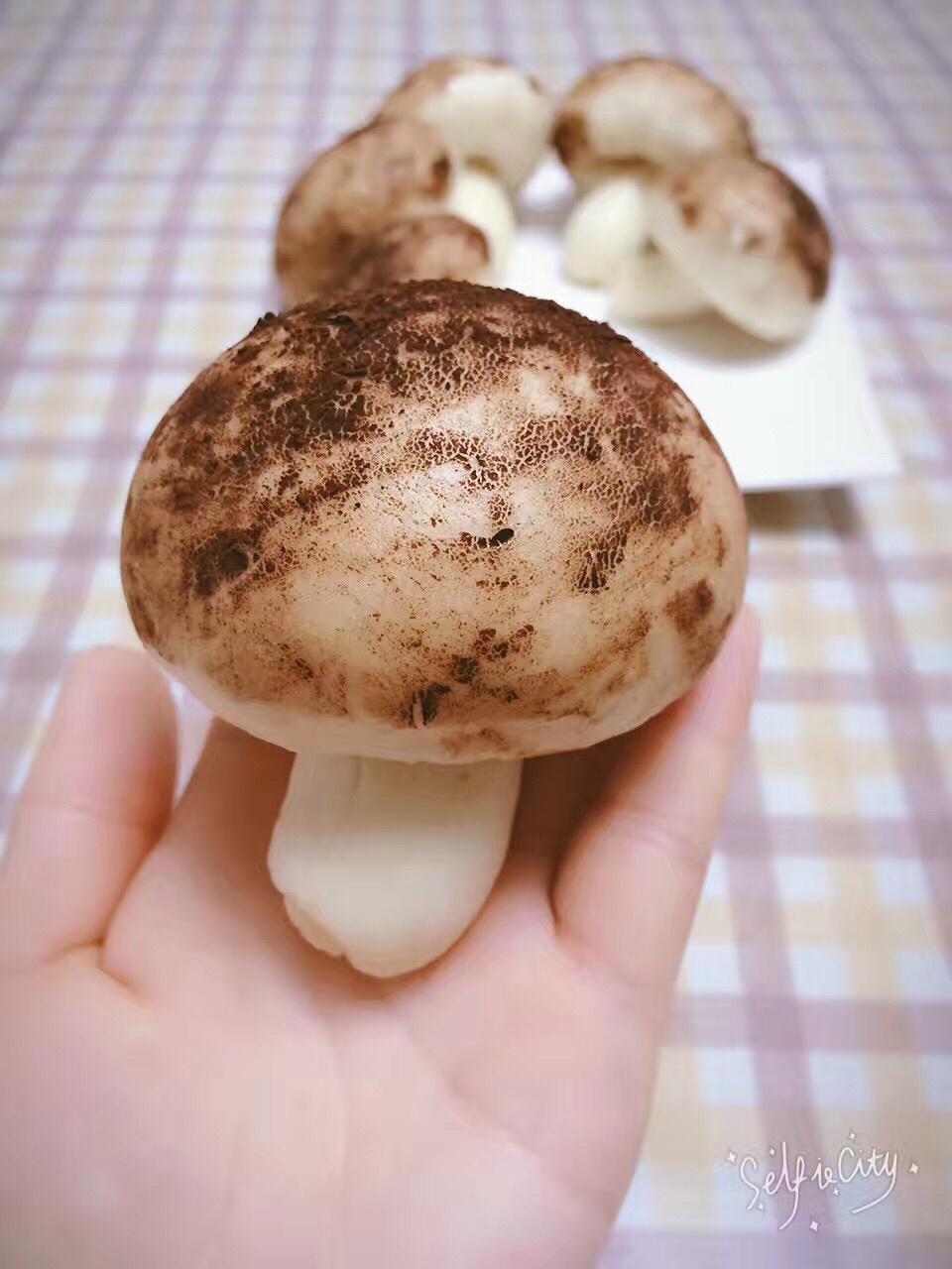 蘑菇包