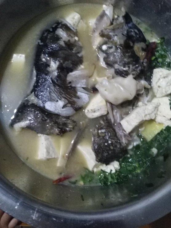 砂锅鱼头炖豆腐