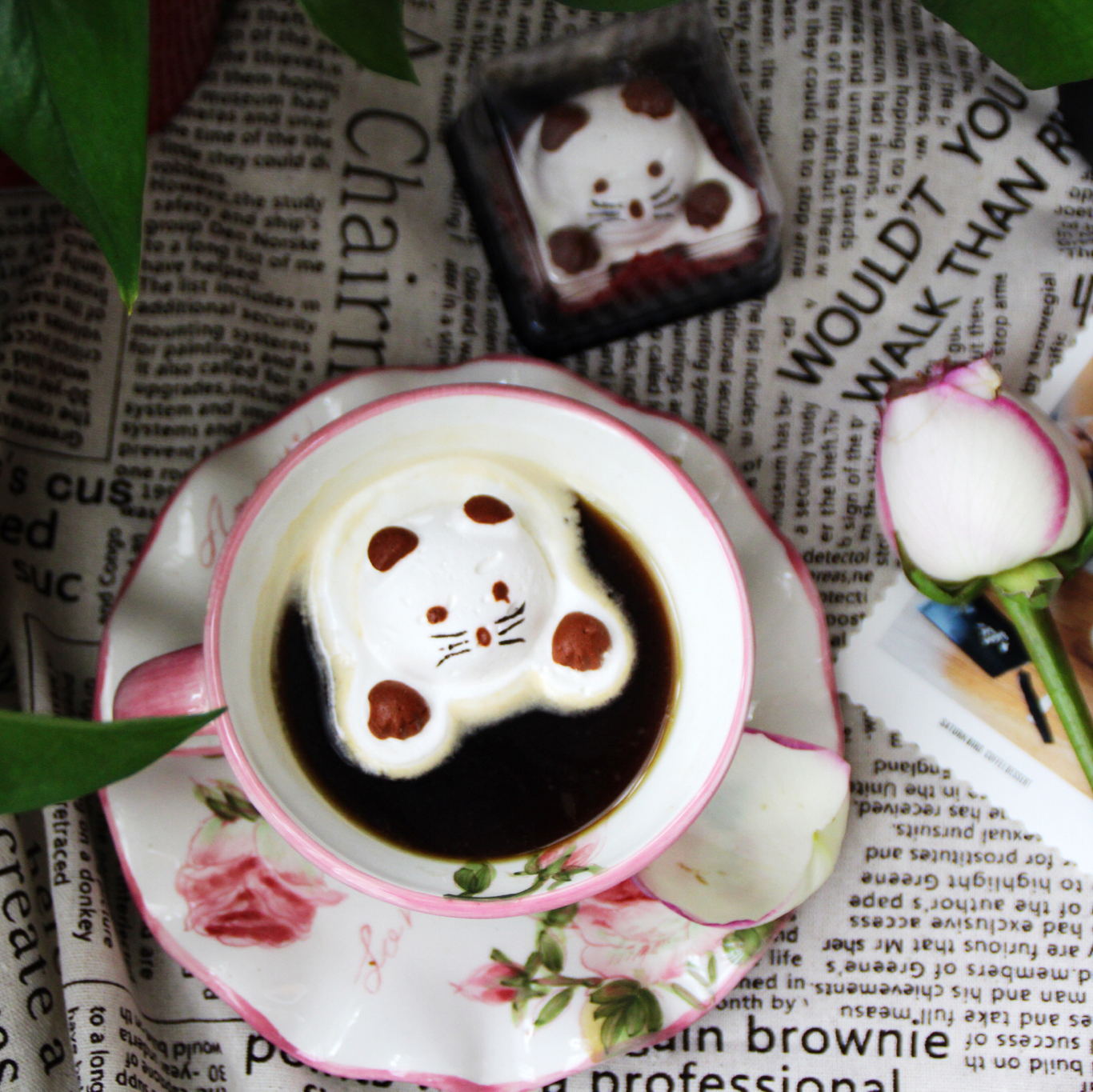 棉花糖—大白与猫咪