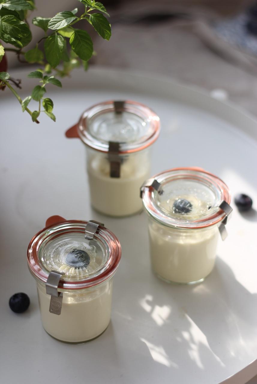 吃豆腐啦！——小嶋老师茉莉奶冻