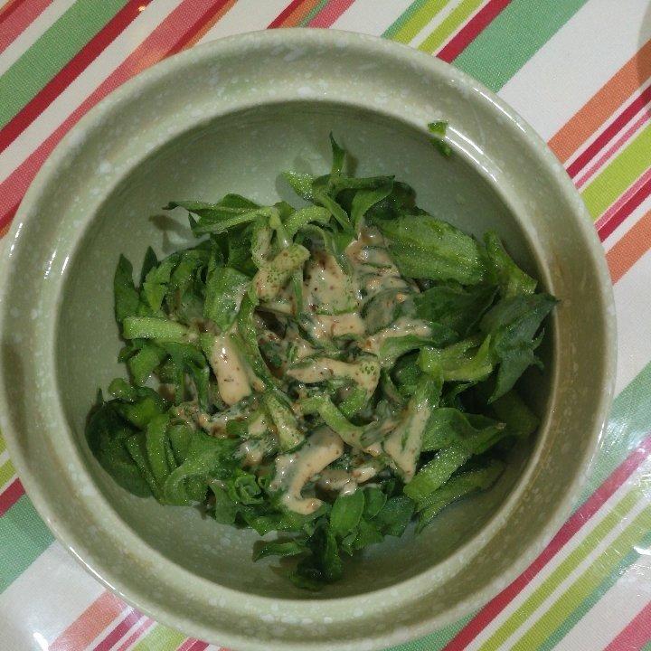 冰草菜沙拉