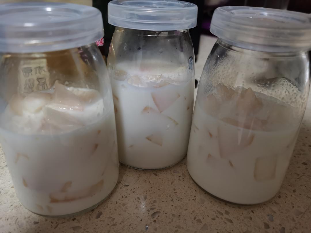 水果牛奶布丁（多口味，超简单）