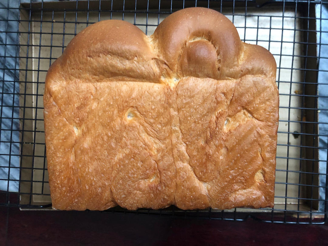 比棉花还柔软的中种北海道吐司