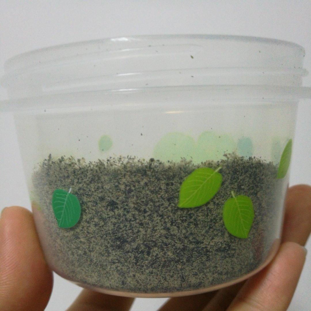 紫菜白芝麻虾皮粉