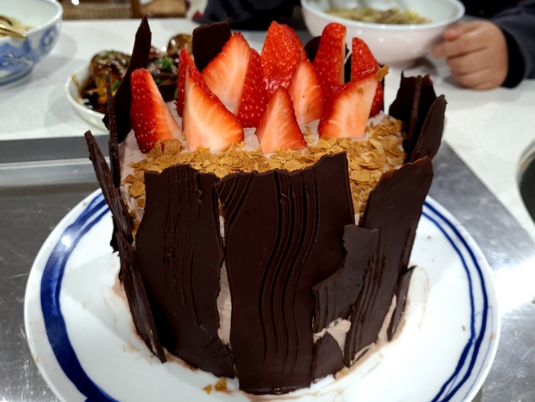 巧克力树桩生日蛋糕