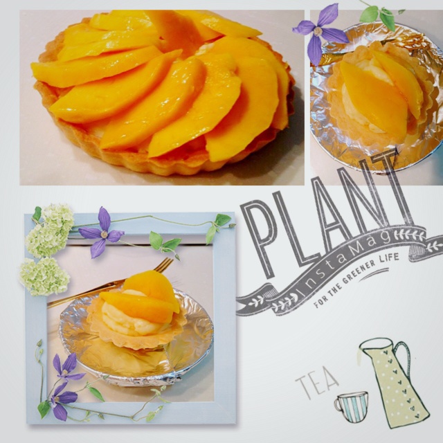 草莓挞 Strawberry Tart