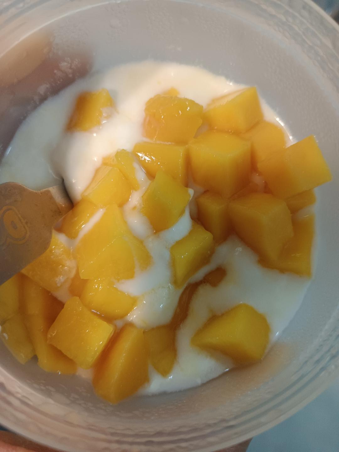 自制酸奶简述