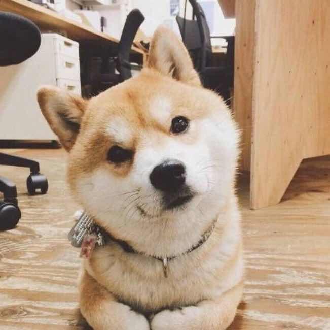 你月半了