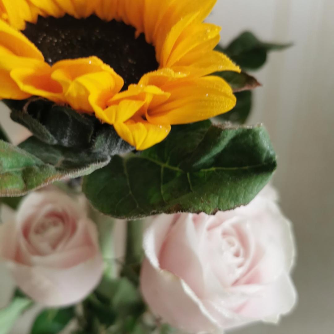 许先生的喂猪食谱