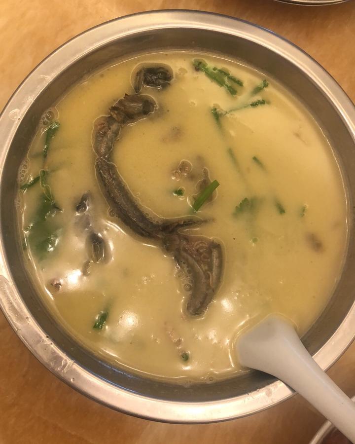 鲜香跳跳鱼（弹涂鱼）浓汤