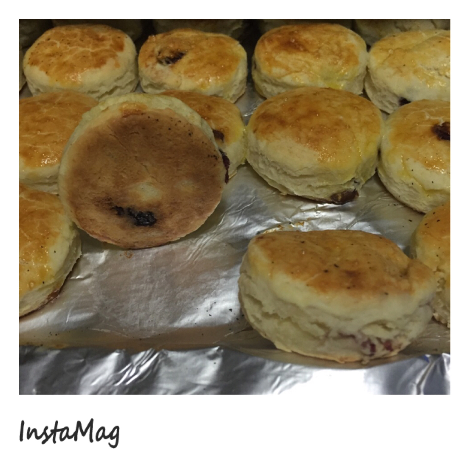 极简奶油松饼/Cream Biscuits（scones）