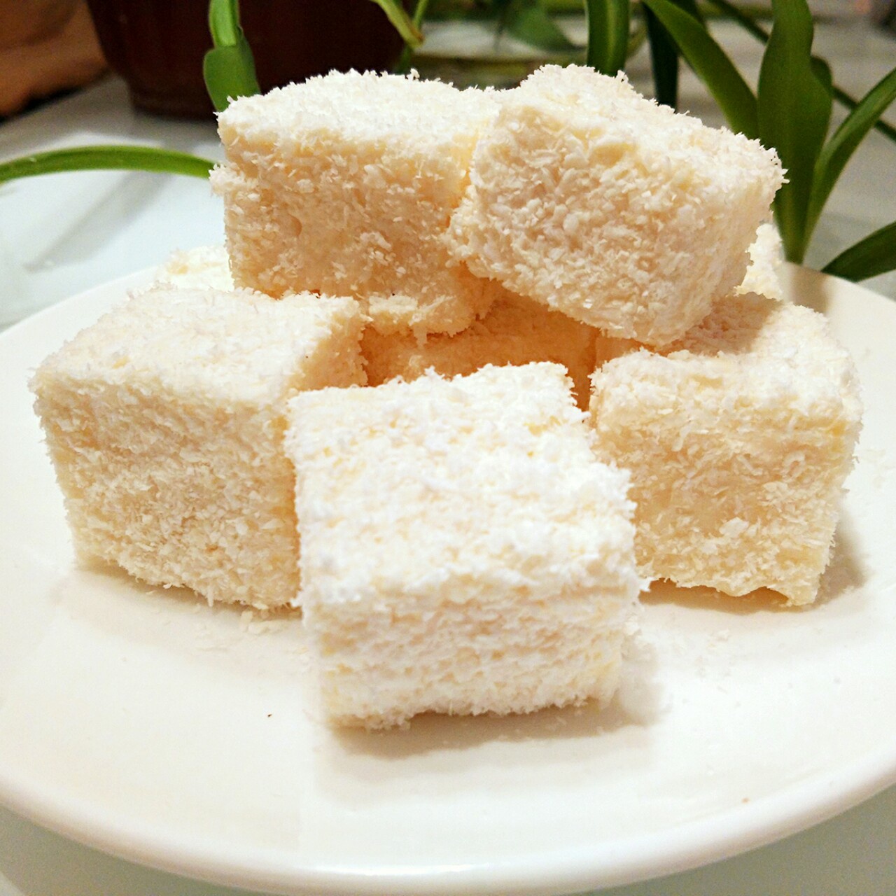 晚餐•2015年10月11日