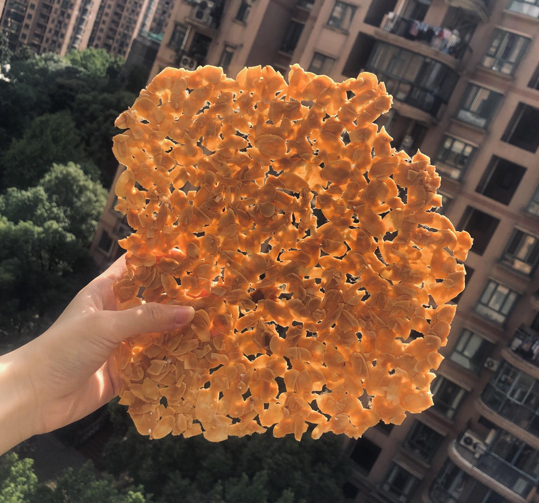 Pierre Herme的杏仁瓦片