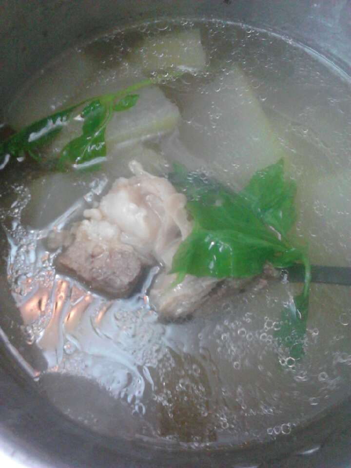 冬瓜骨头汤