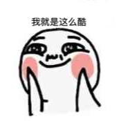 帅气的熊猫大人