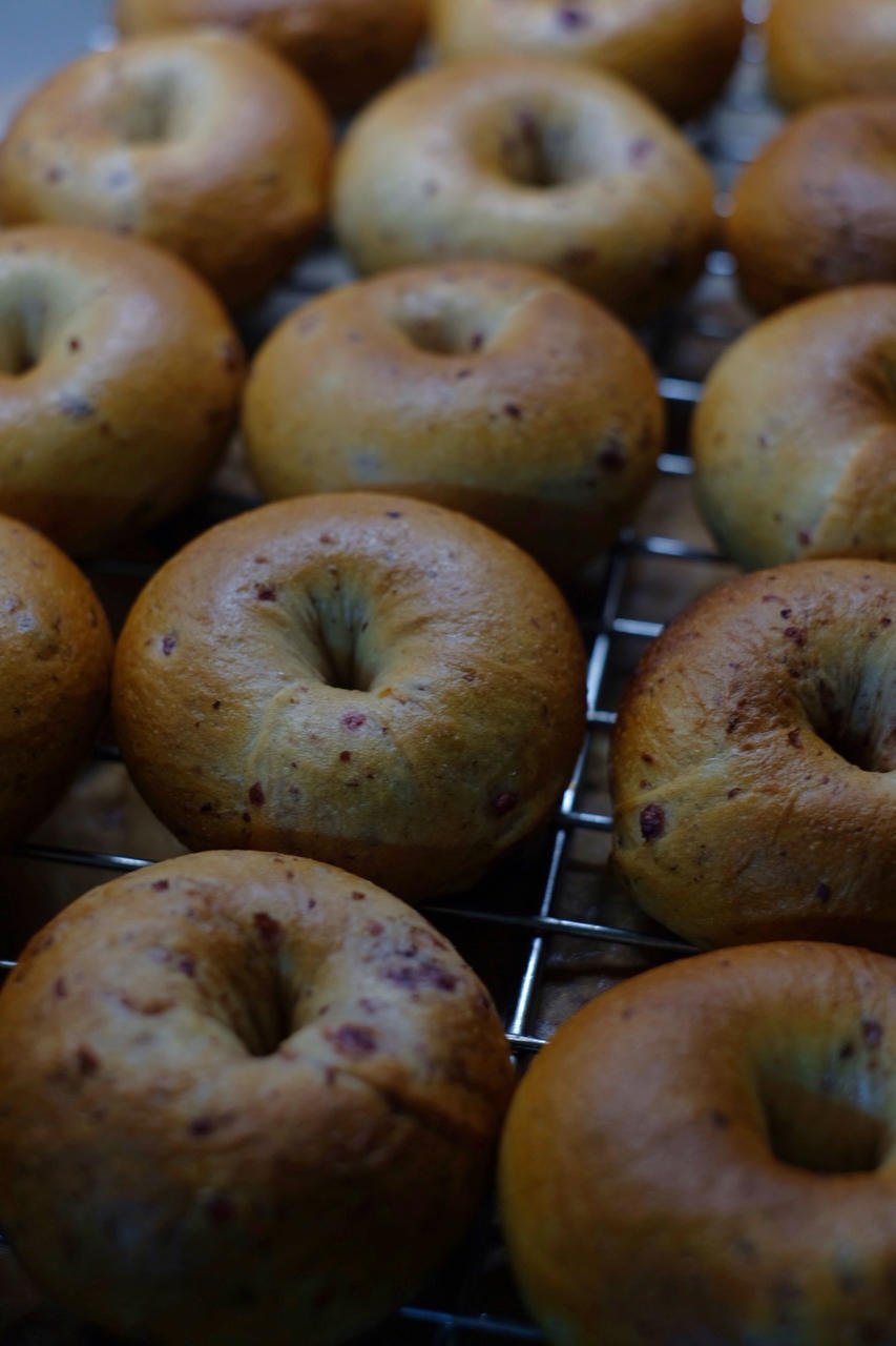 来吃圈圈吧！——全麦蔓越莓贝果