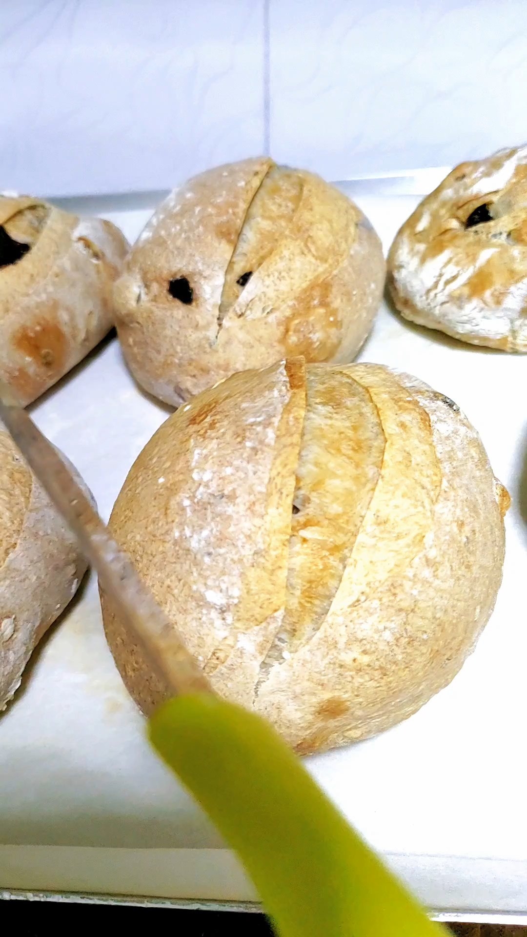 法式乡村面包                      （蔓越莓核桃、培根乳酪）