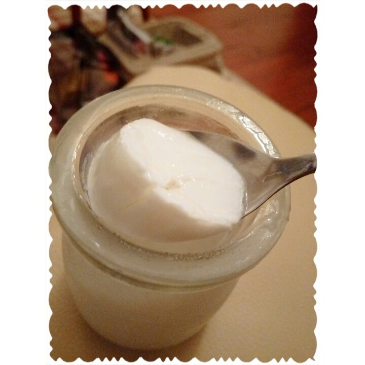 面包机版自制酸奶