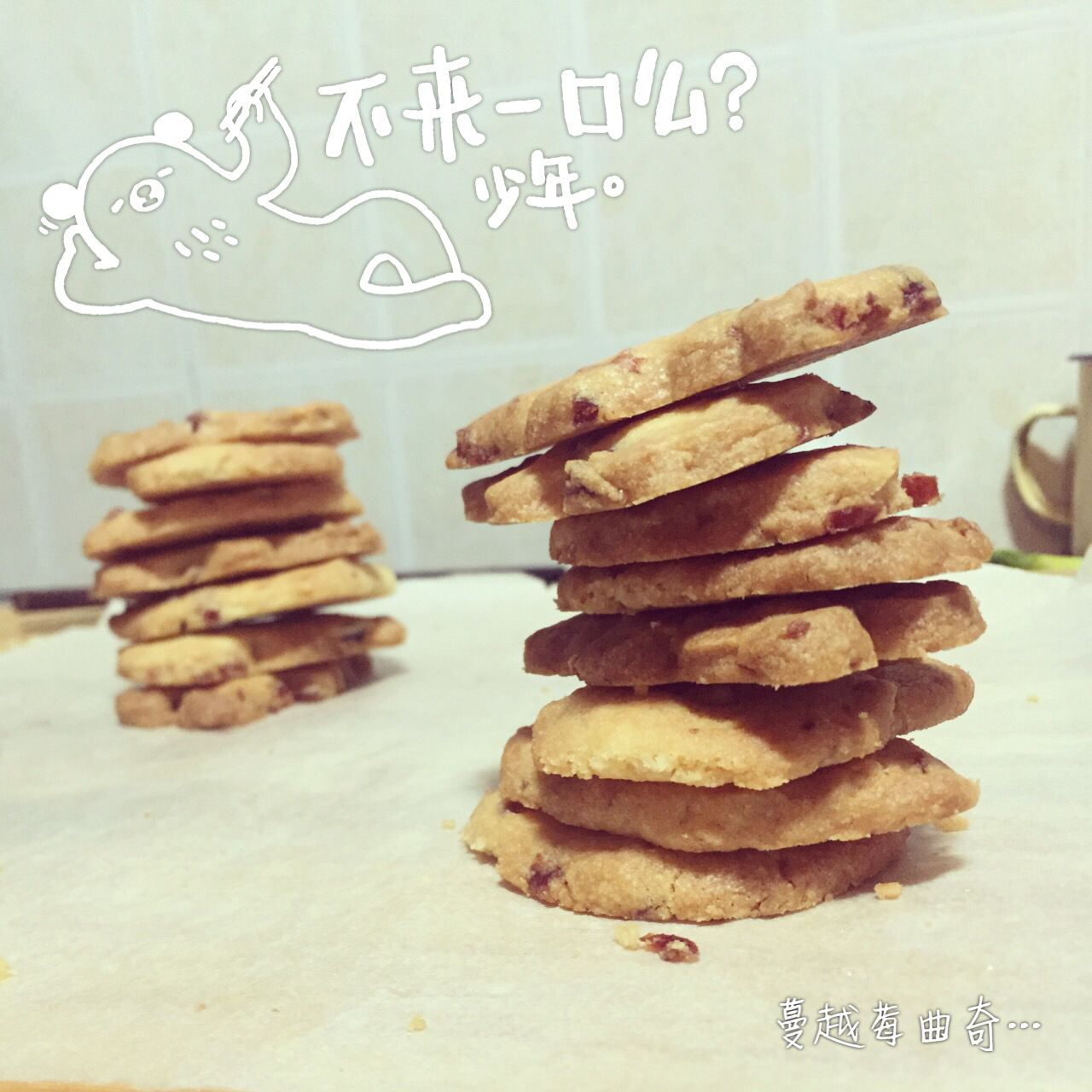 蔓越莓饼干 蔓越莓曲奇
