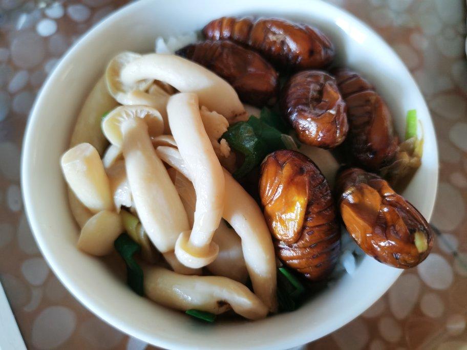 午餐•2020年4月15日