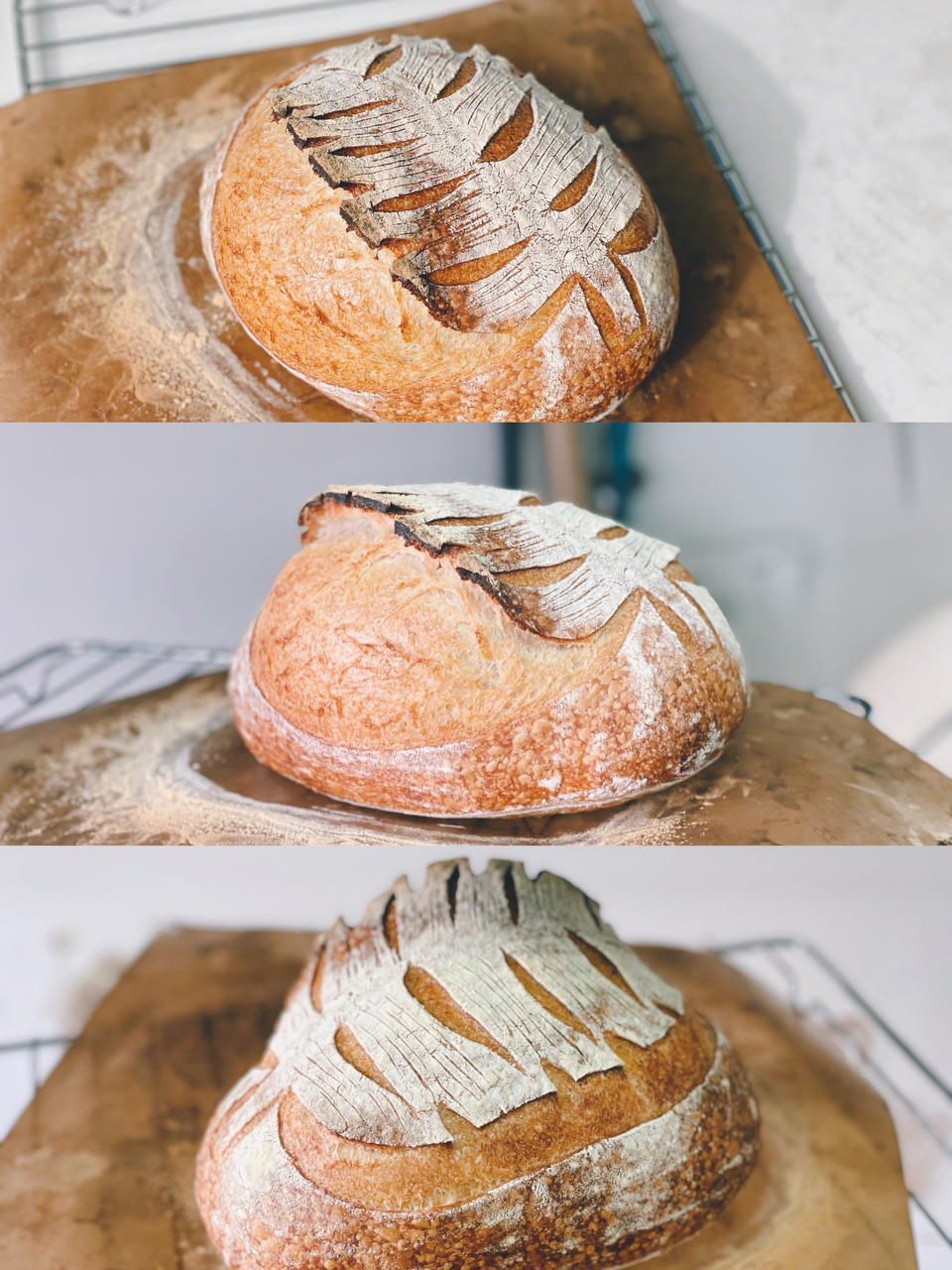 传统天然酵种欧包