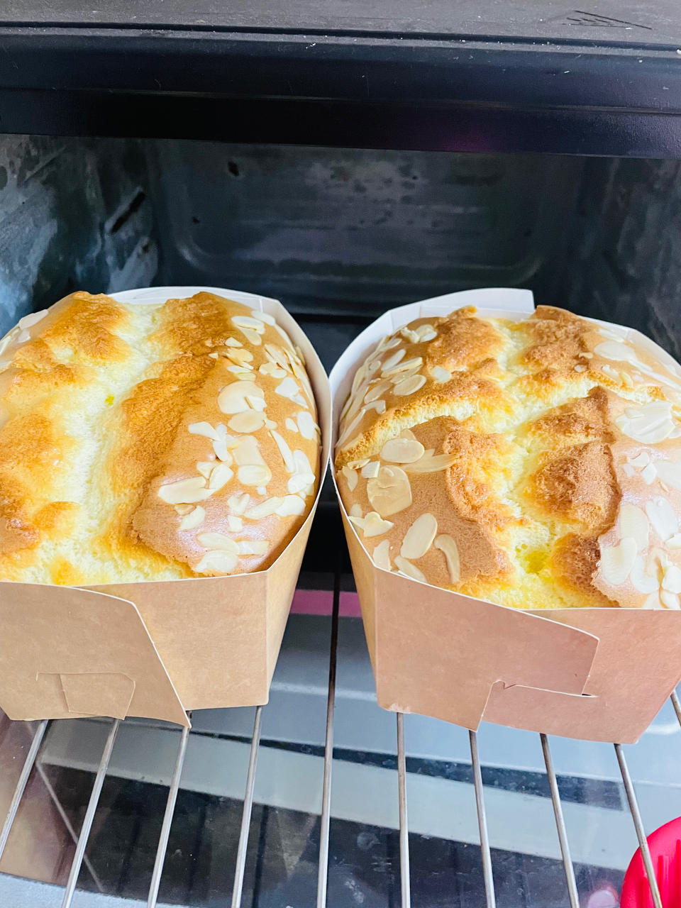 火爆全网的金枕蛋糕