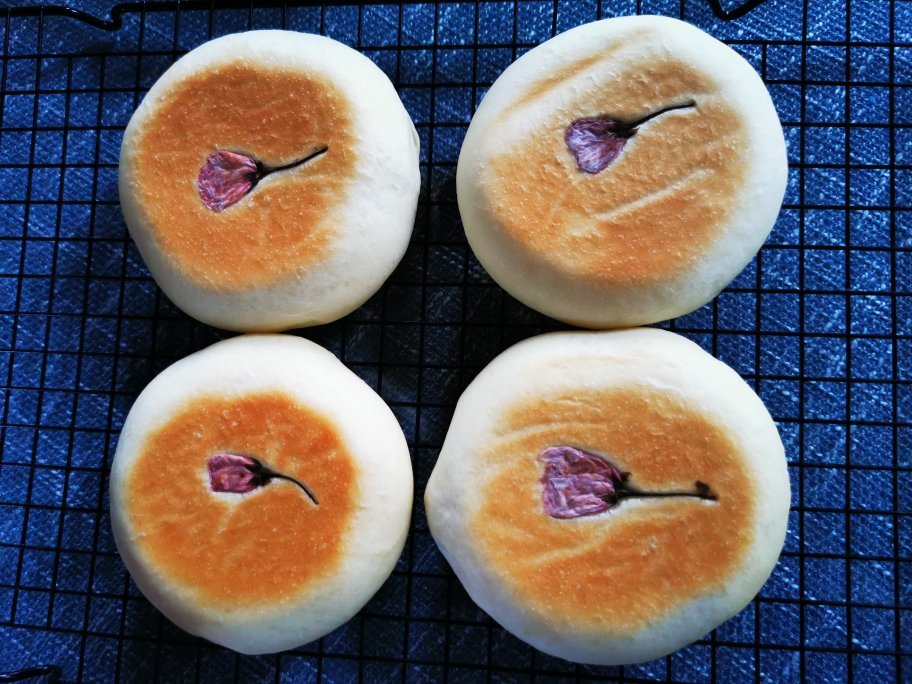 日式红豆包（17h中种法）