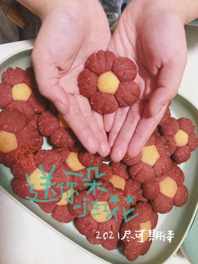 送你一朵小红花 🌺免模具｜零难度花朵饼干