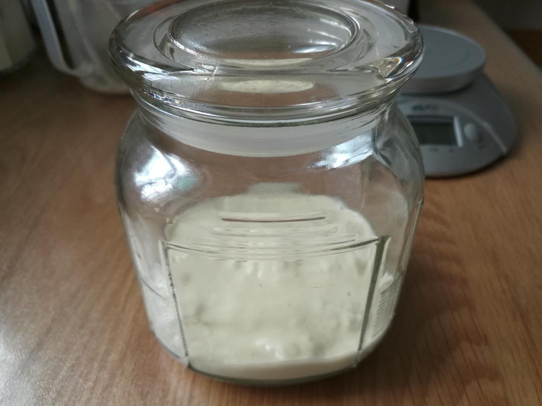 天然酵种/天然酵母 甜橙