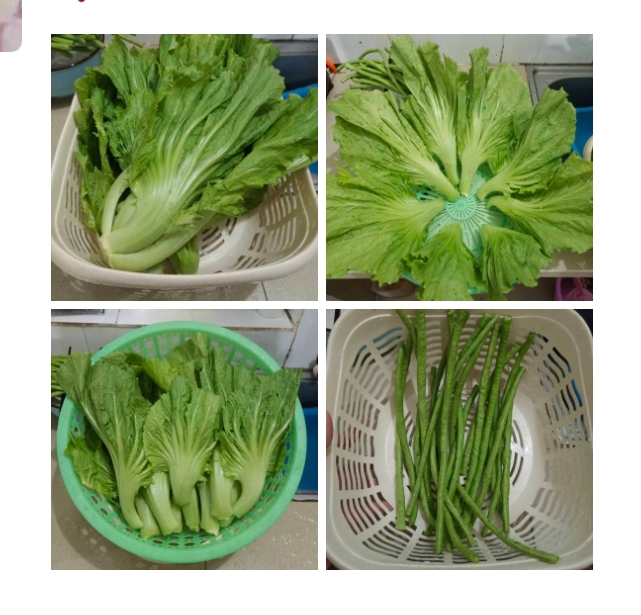 秘制酸坛水/可反复用，可腌酸豆角 酸菜 各类蔬菜的做法 步骤14