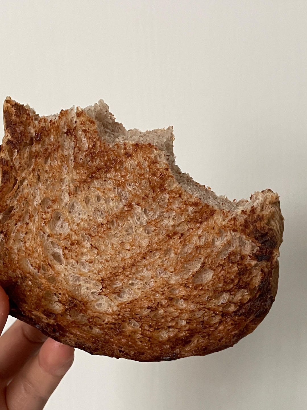 波兰种黑全麦吐司！黑全麦也可以如此柔软！