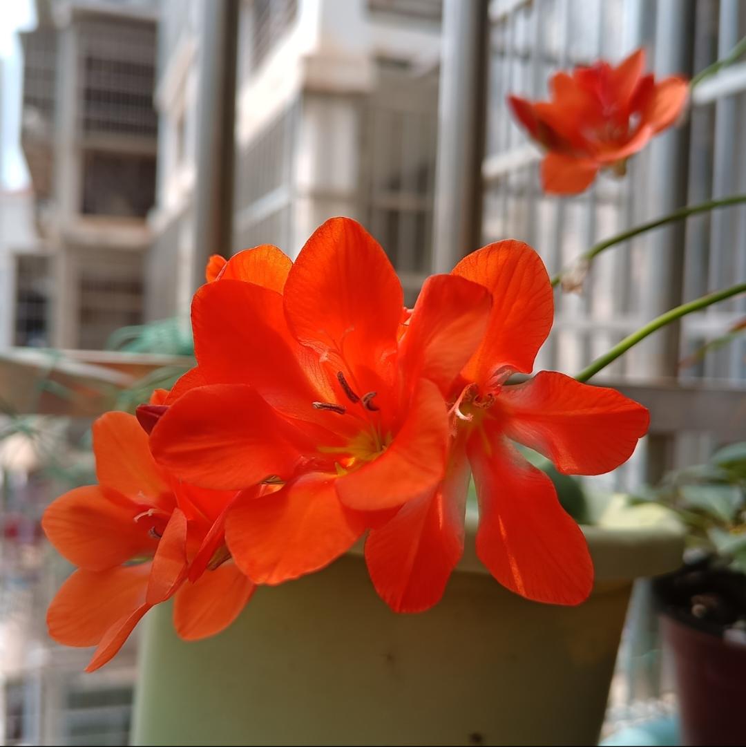 下厨房用户_hk5zb