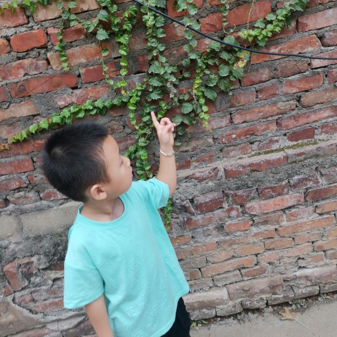 多兮妈的小厨房