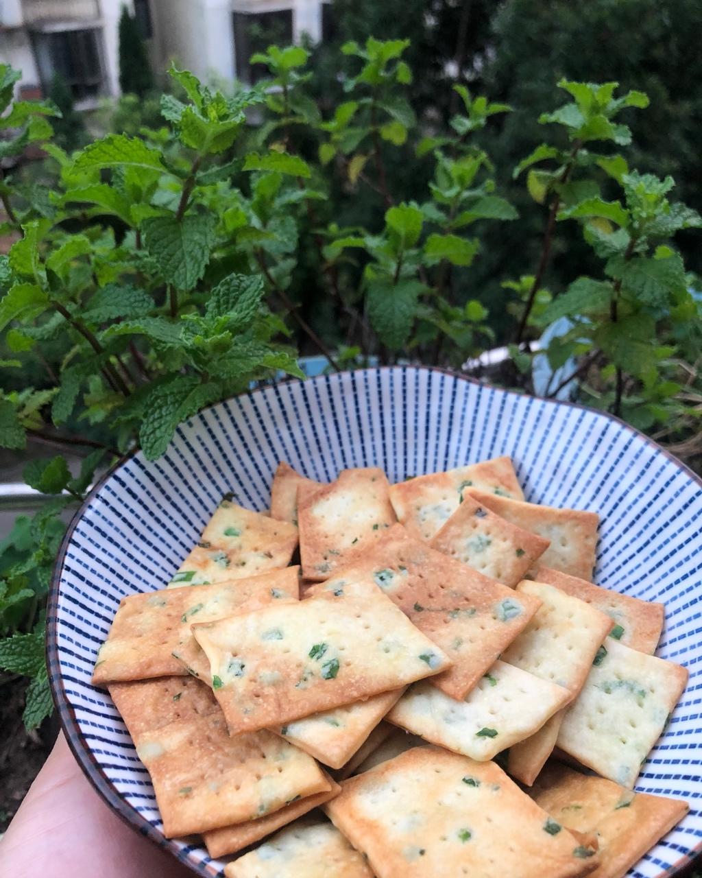 无糖香葱苏打咸饼干