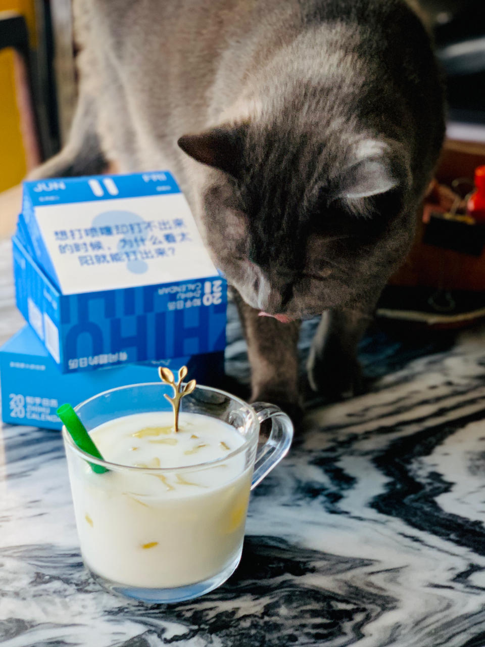 海底椰茅根竹蔗雪梨膏