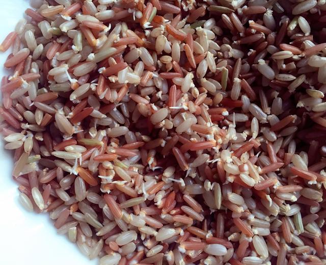发芽米的做法