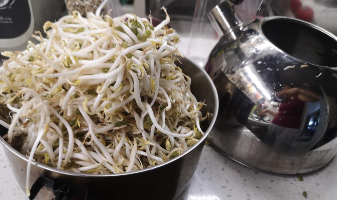 水壶发豆芽 自发豆芽的做法