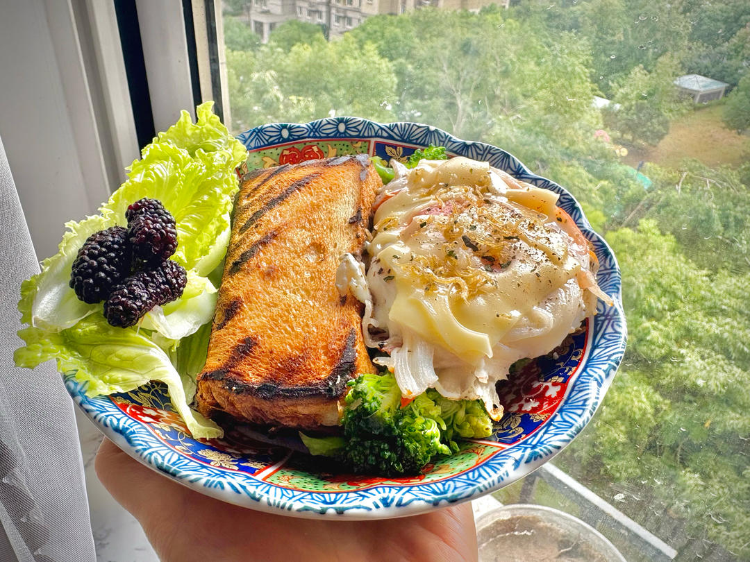 万物皆可热压 （热压总食谱，技巧&食谱大合集，随时更新）| 健康·三餐