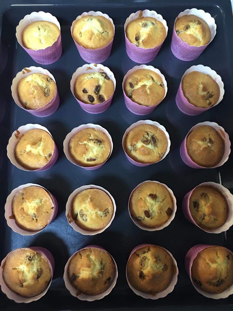 0失败的葡萄干麦芬