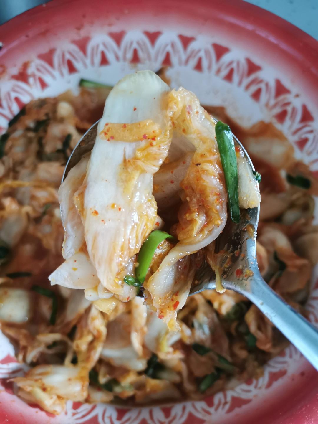 活了二十年吃过最好吃的辣白菜教程！抖音点赞过百万教程抄袭搬运😘