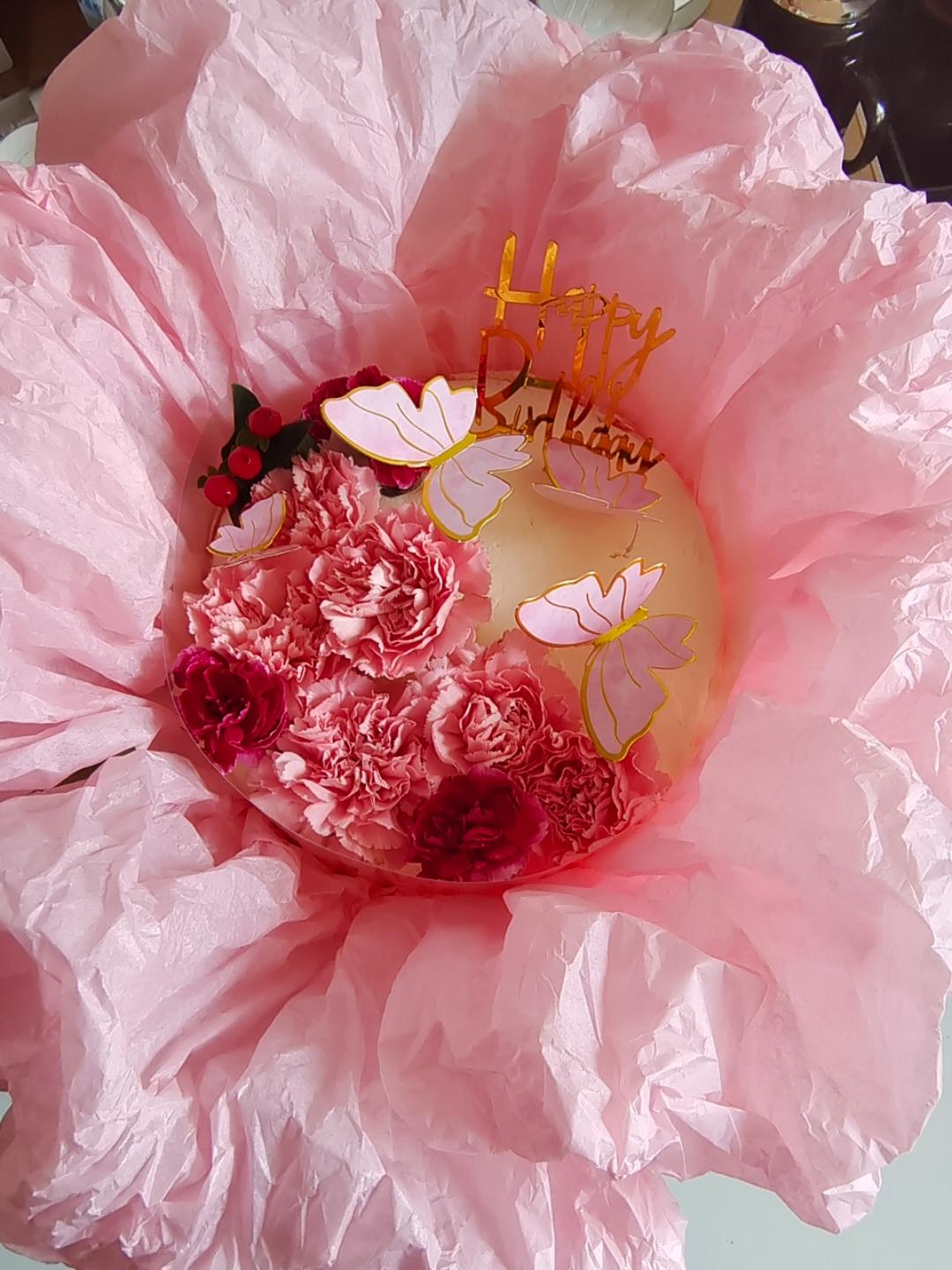 一条懒得说话的鱼