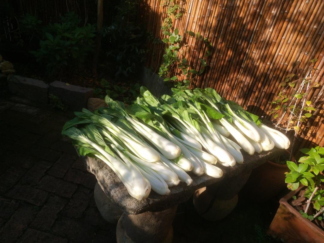 我一直梦想的田园的早餐