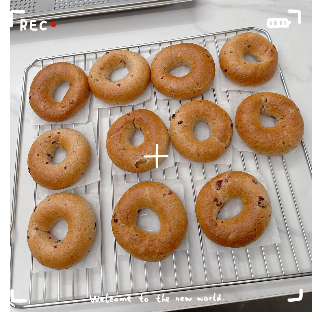 给减肥瘦身党 无糖无油蔓越莓全麦贝果