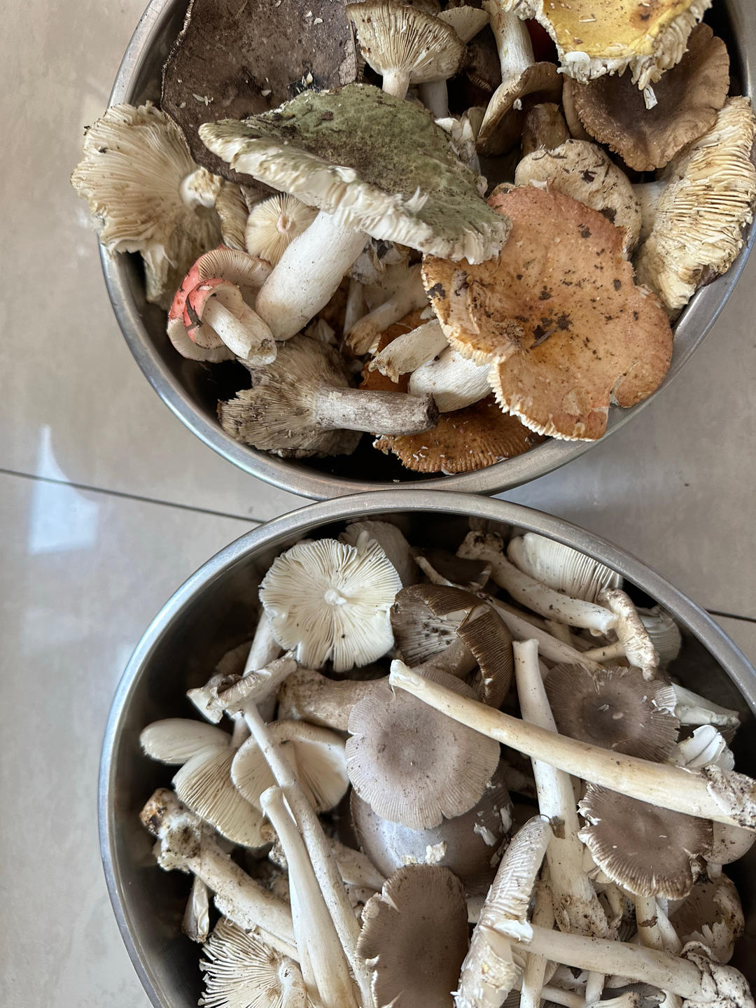 新鲜上市的野菜