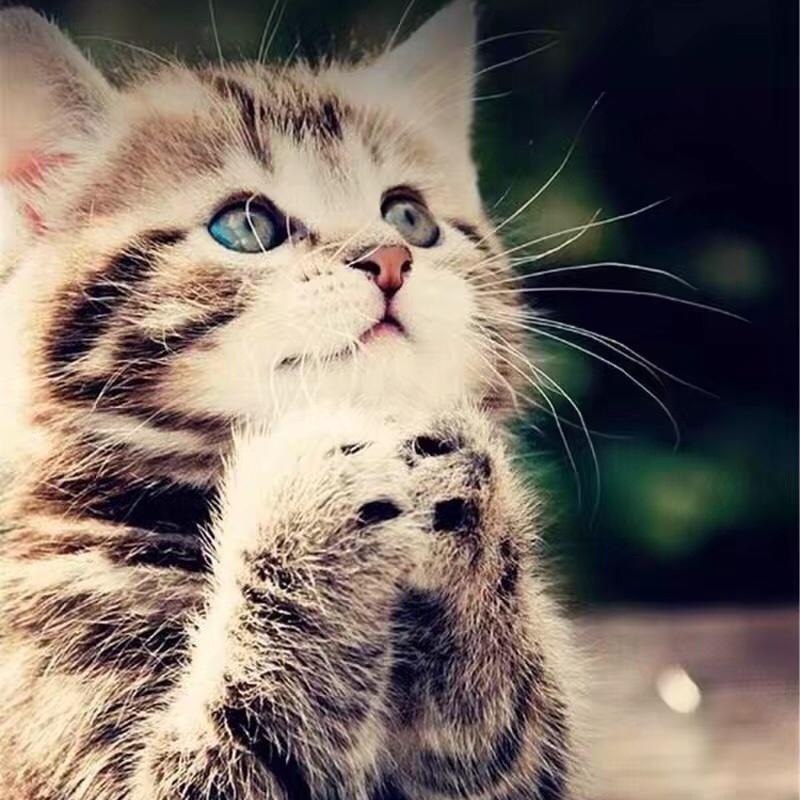 美食与深情不可辜负