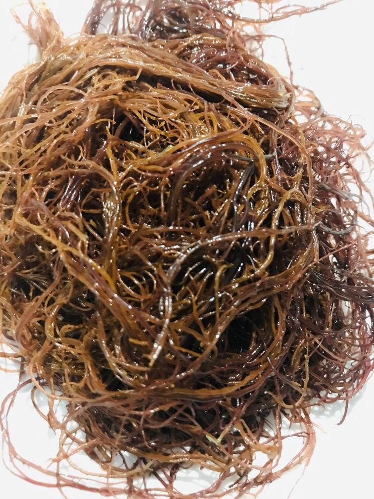 海发菜鲍鱼煲的做法 步骤1